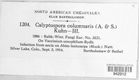 Calyptospora columnaris image
